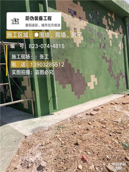 内蒙古核心结论：专业提供外墙迷彩漆施工服务